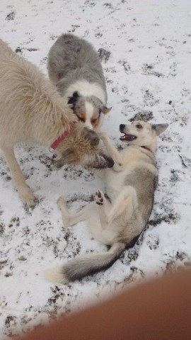 I Told You I Am Not Ticklish!